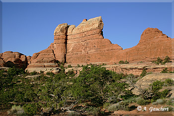 Der Elephant Hill